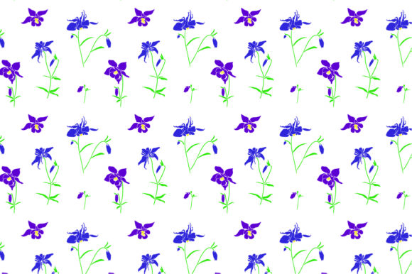 Set Vector Illustration Columbine Flower